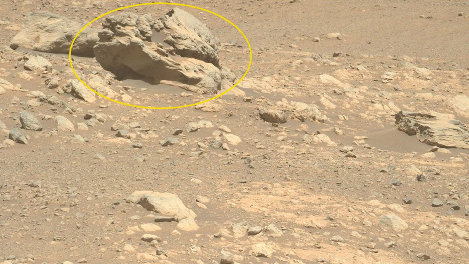 A photo of a large boulder-like rock on Mars, circled by a yellow ring annotation