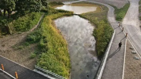 Brighton & Hove City Council Aerial shot of Wild Park rainscape in Brighton showing wetlands and water and a path around it