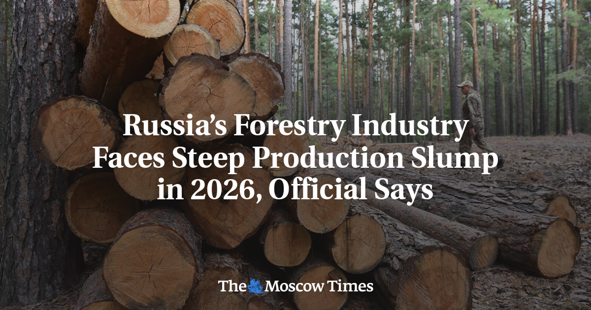 Russia’s Forestry Industry Faces Steep Production Slump in 2026, Official Says