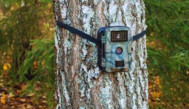 A Long Lost Creature Captured For The First Time In Years By Trail Camera