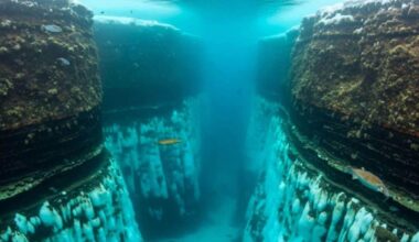 A New Antarctic Discovery Could Quietly Accelerate Sea Level Rise