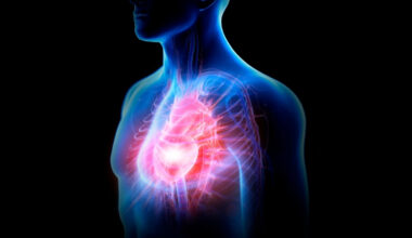 Is Melatonin Bad For Your Heart? An Expert Explains The New Findings. : ScienceAlert