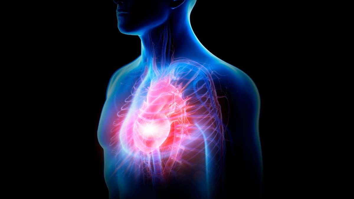 Is Melatonin Bad For Your Heart? An Expert Explains The New Findings. : ScienceAlert