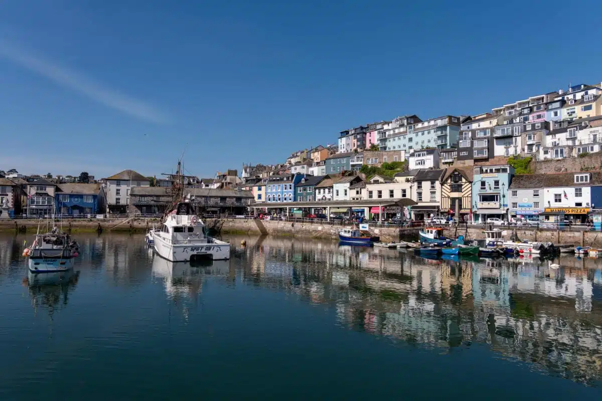Brixham Fish Market In Devon Is Witnessing A Rare Glut Of Octopuses Drawn Away From The Waters Of Morocco And Mauritania