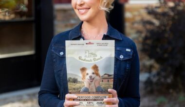 Hollywood to entrepreneurship – Utah Business