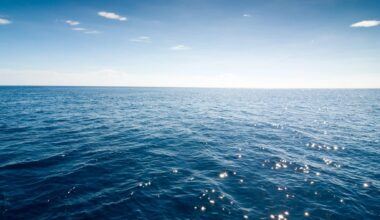 NASA recently developed a new satellite to help investigate the issue of rising sea levels