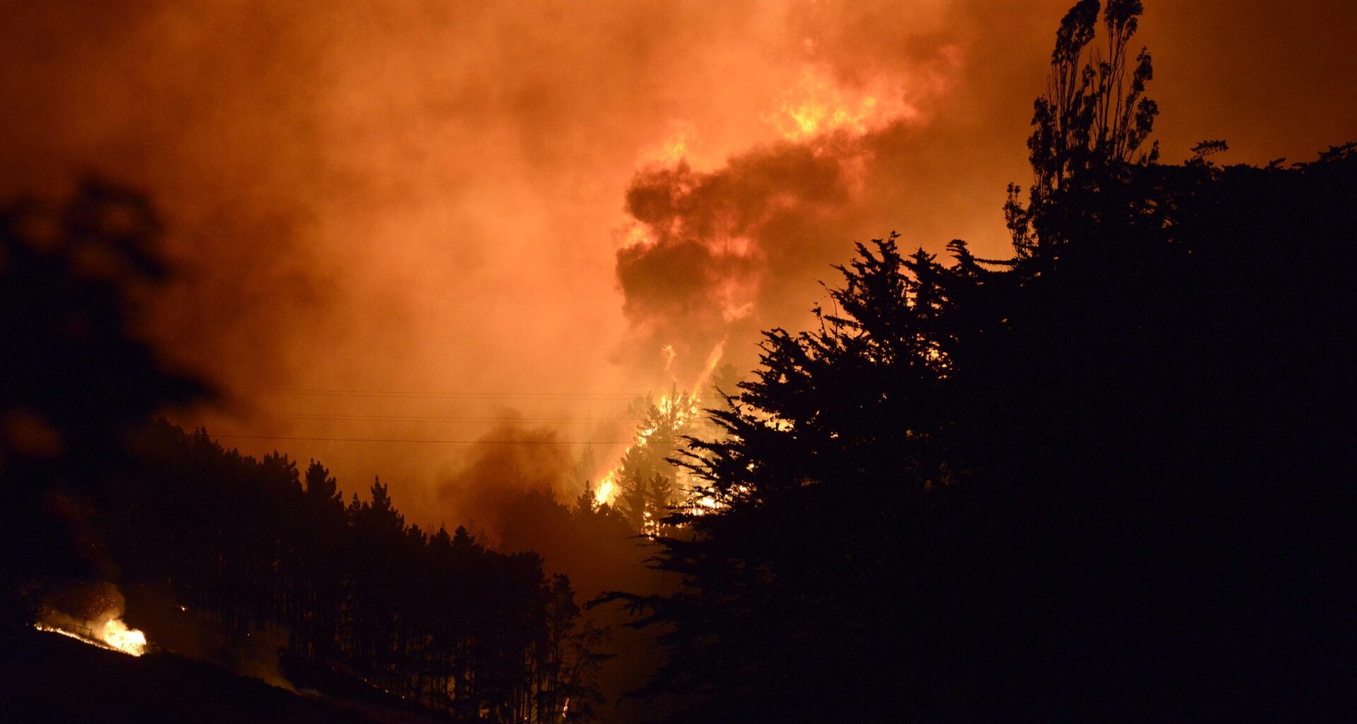 Govt's climate strategy: Let it burn