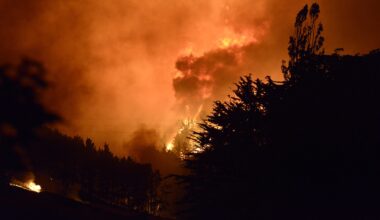 Govt's climate strategy: Let it burn