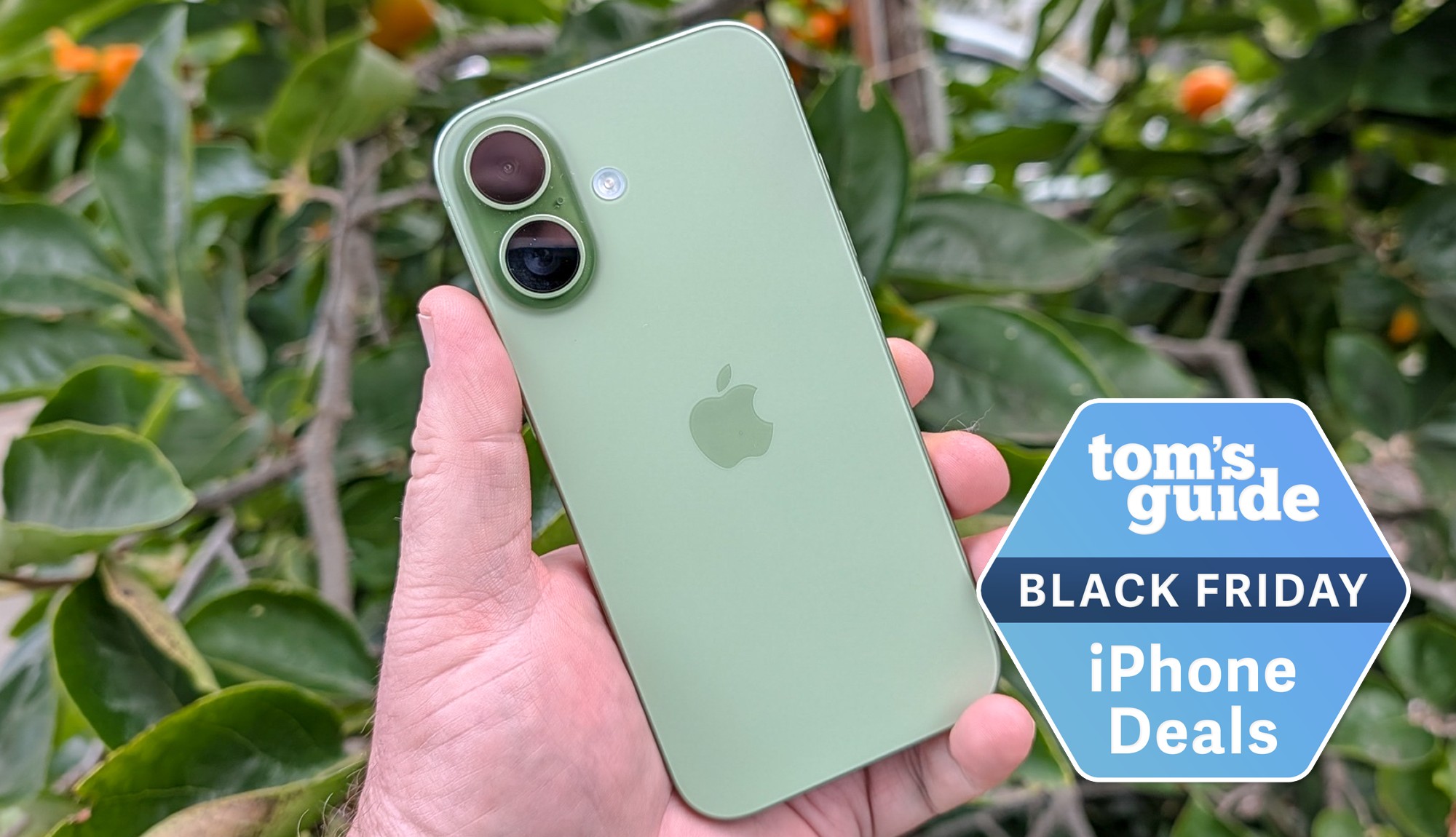 Sage iPhone 17 in hand