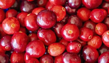 6 Foods With More Antioxidants That Cranberries