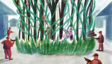 Wild Animals Deserve Rights, Too