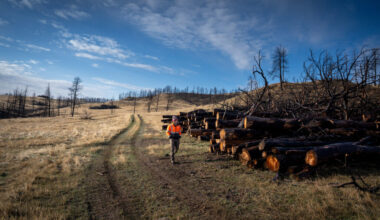 Rebecca Gentry lost more than 50,000 trees on her family’s ranch during the 2021 PF Fire near Hardin, Mont. Credit: Mast Reforestation