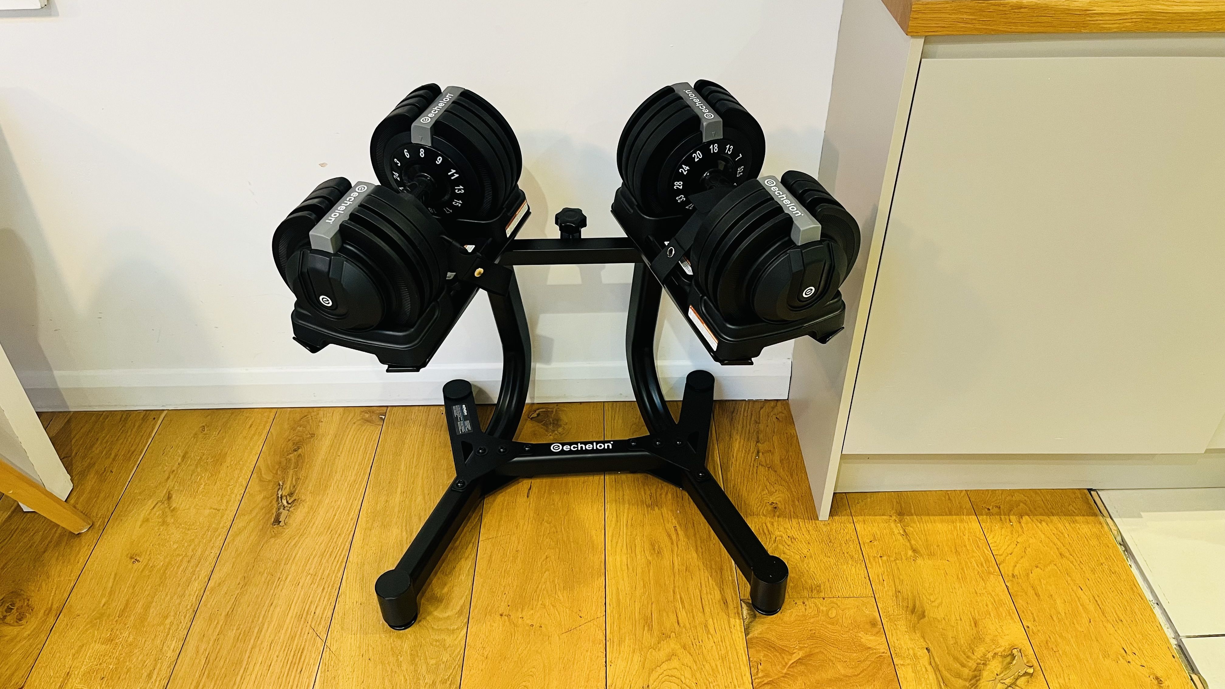 Two dumbbells on a stand