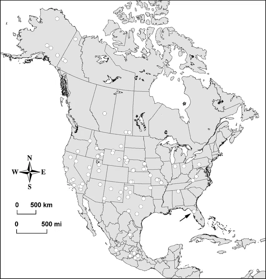 Map Of Arctodus Simus Fossil Locations In North America.