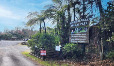 SunLive - Family selling beloved Tauranga wildlife park