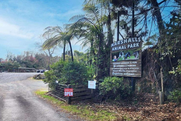 SunLive - Family selling beloved Tauranga wildlife park