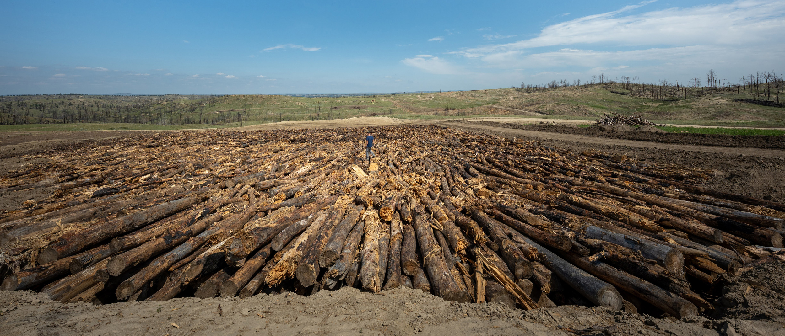 More than 10 million pounds of wildfire-killed trees went into the burial site. Credit: Mast Reforestation