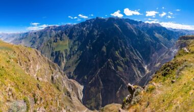 Meet The Strangest New Creature With Red Eyes And ‘long Fingers’ Found In Peru