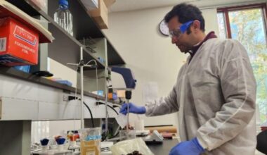 UConn startup wins $175K federal grant to develop seaweed-based food coating