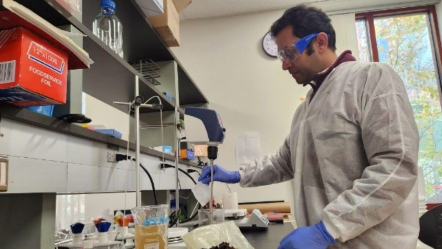 UConn startup wins $175K federal grant to develop seaweed-based food coating