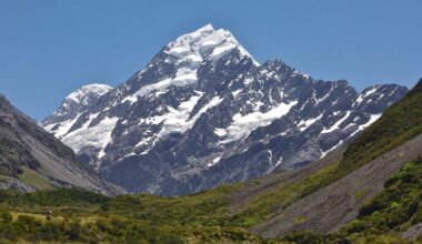 Mountain Guide and Client Die in New Zealand