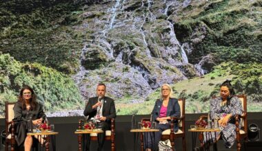 New Zealand Sweetens Film Incentives, Eyes India Co-Production Revival