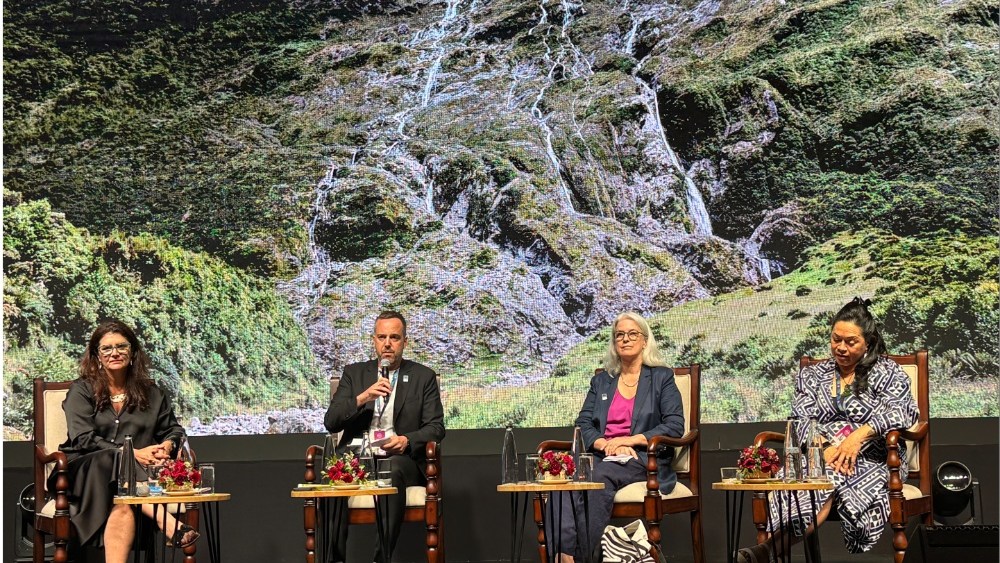 New Zealand Sweetens Film Incentives, Eyes India Co-Production Revival
