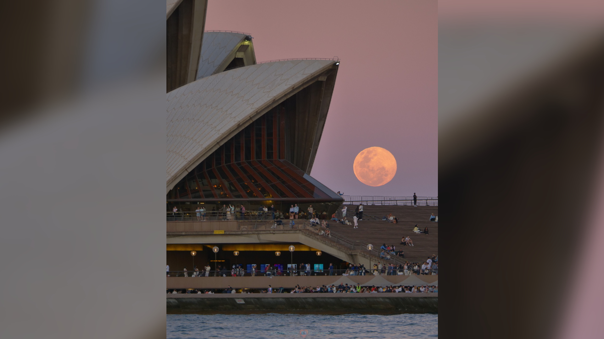 A yellow full moon is pictured rising close to the horizon in a pink sunset sky, as the arced profile of the Sydney Opera House dominates the left of the image. A body of water is visible in the foreground.