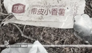Simplified Chinese packaging dominates litter found in Hong Kong countryside clean-up