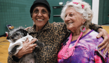 How many Americans have made a will, discussed end-of-life preferences?