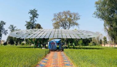 India’s innovative carbon-absorbing solar trees
