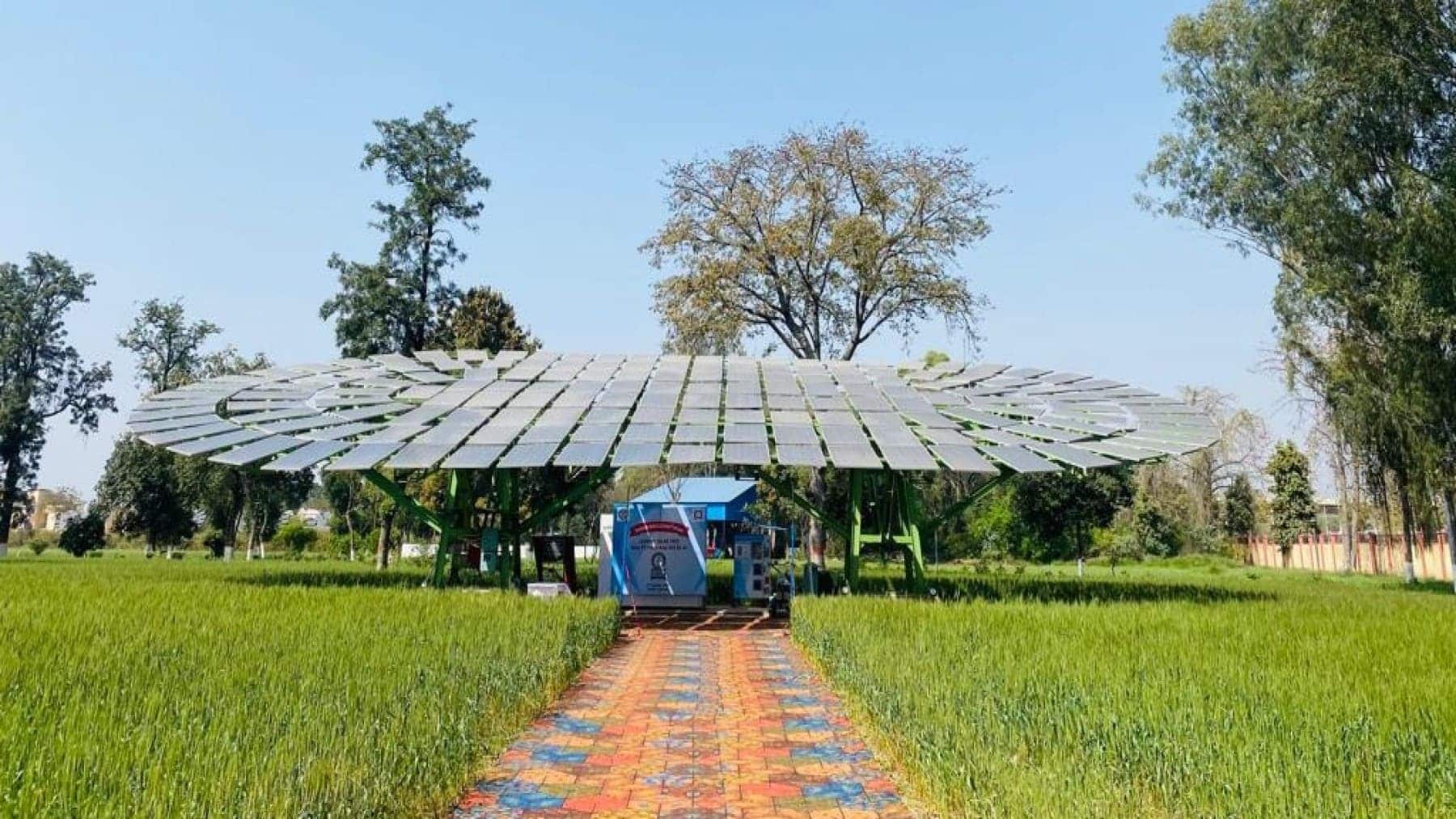 India’s innovative carbon-absorbing solar trees