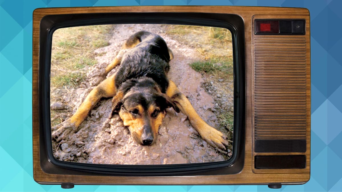 From Pinky to Toyota’s ‘Bugger’: The Kiwi TV ads that pushed the limits