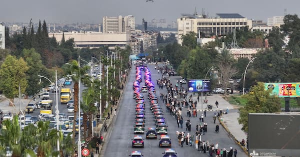 Syria's reforms promising but democracy lacking, Amnesty says