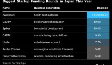 AI Startup Turing Secures Denso’s Backing at $388 Million Value