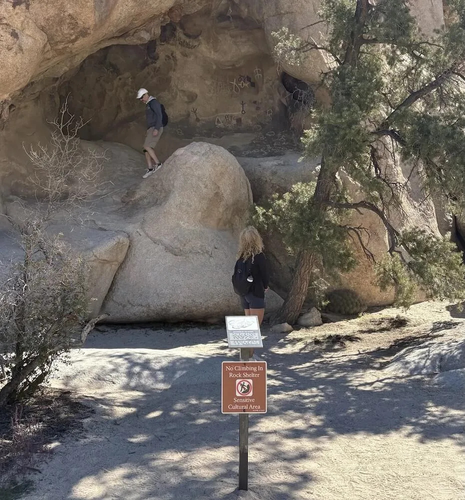 A Redditor shared a photo of a man circumventing a national park's sign with the caption, "Someone needs to come get their dad."