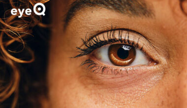 eyeQ close-up of a brown eye