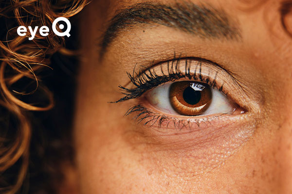 eyeQ close-up of a brown eye