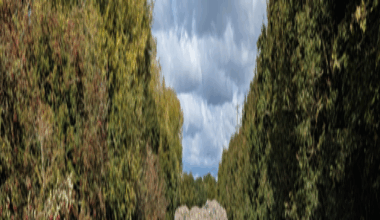 Criminals dump mountain of waste in field