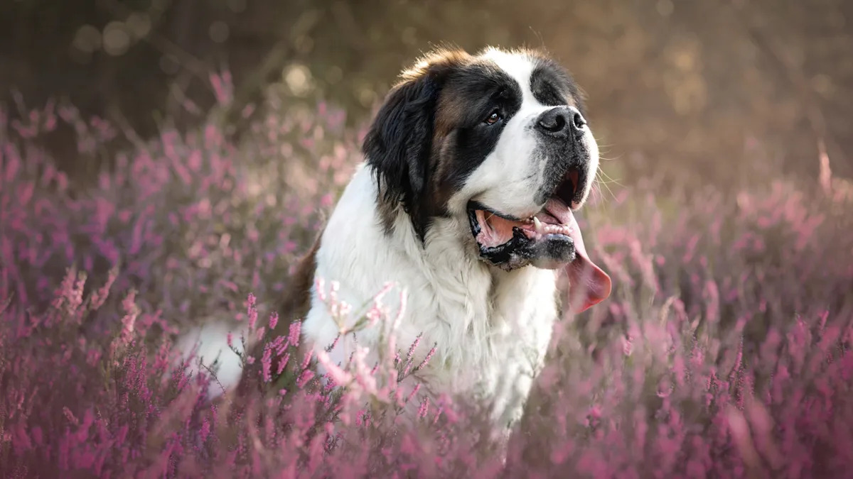 Yahoo lifestyle home