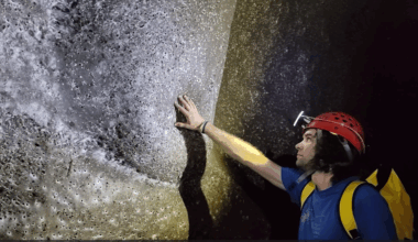 World's biggest spiderweb discovered inside 'Sulfur Cave' with 111,000 arachnids living in pitch black