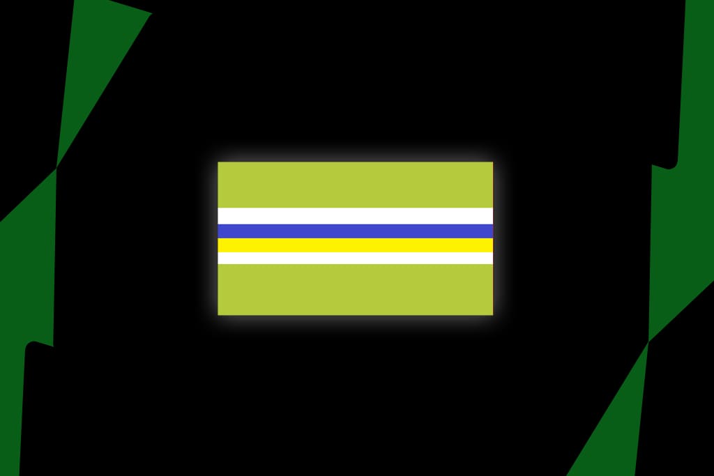 Raiders recruitment wave continues with another Brisbane Broncos signing - NRL News