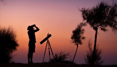 Everything you need to go stargazing this winter and into 2026