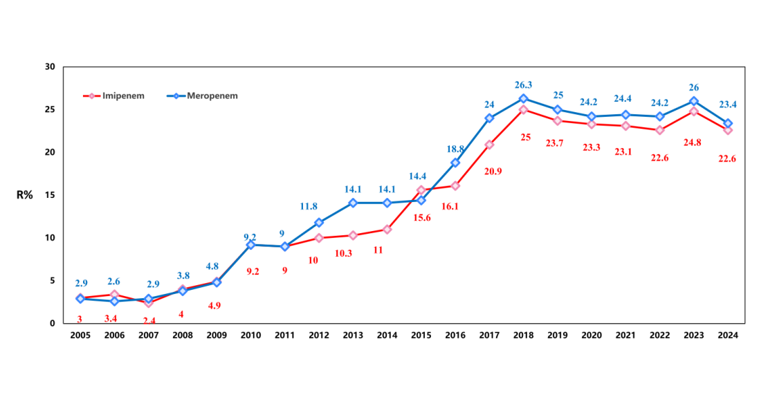 Positive signs in the fight against superbugs: CHINET 2024 surveillance report