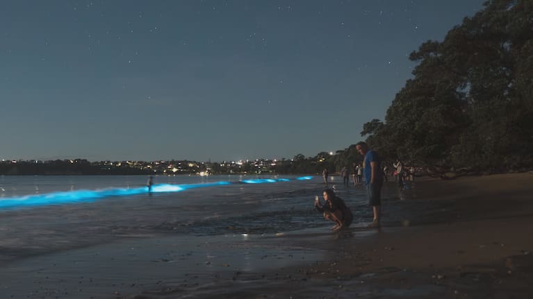 Crowds gather to watch the display at Stanmore Bay.
