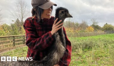 Woman fulfils dream of rearing an emu after buying egg on eBay