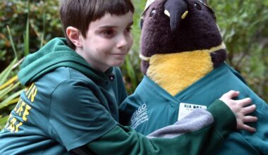 Penguin visit fulfills boy’s lifelong dream