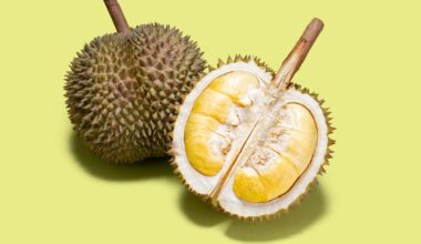 9 Of The Highest Fat Fruits