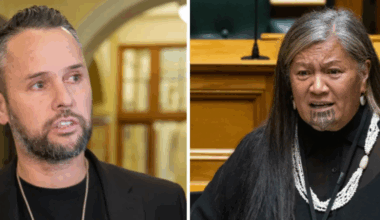 Dunedin MP casts proxy vote for expelled pair