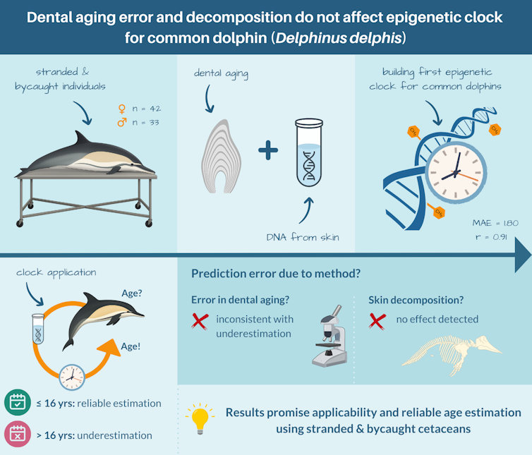 An illustration showing how the research team addressed